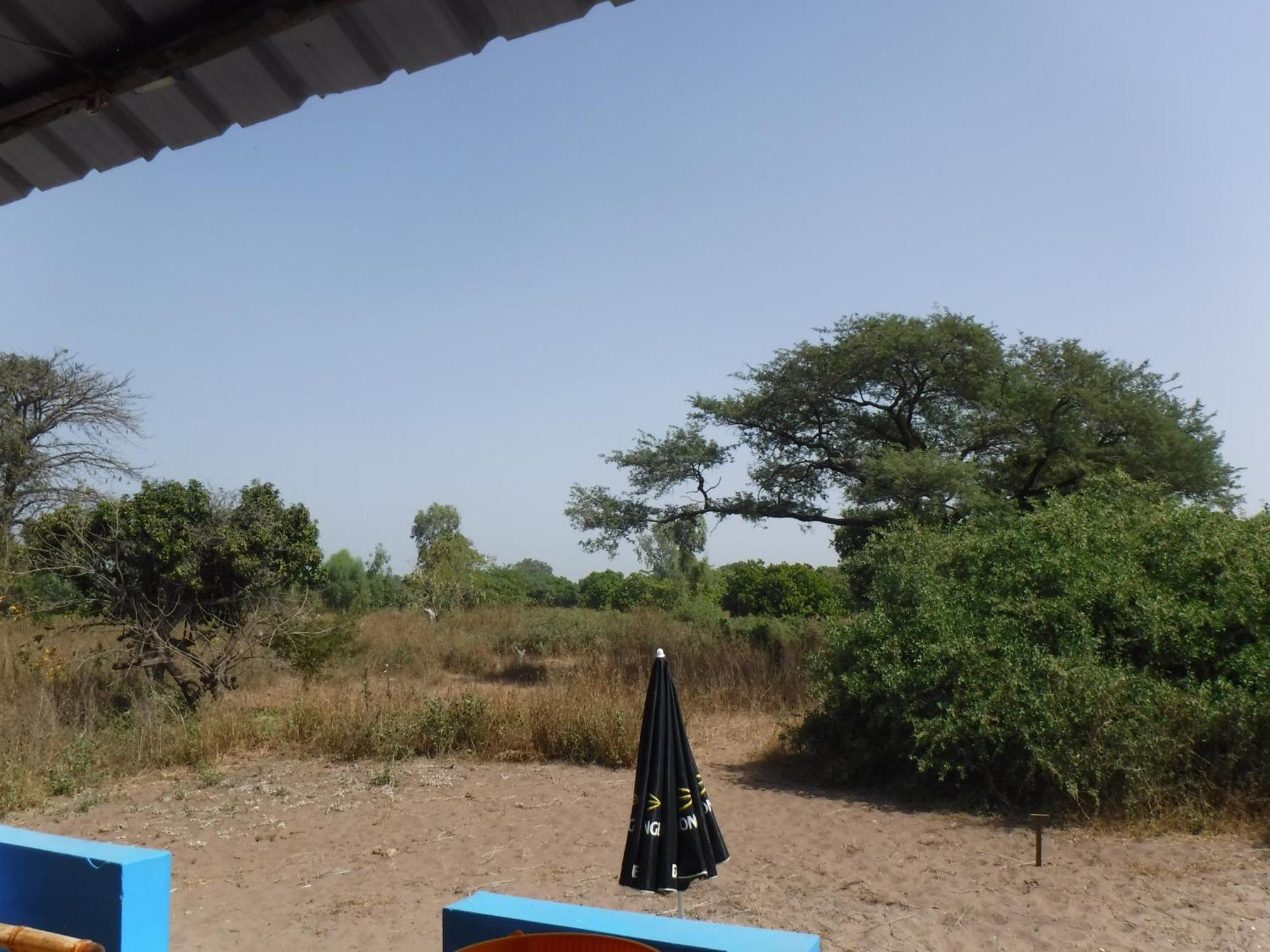 Jinack Lodge Jinack Island エクステリア 写真